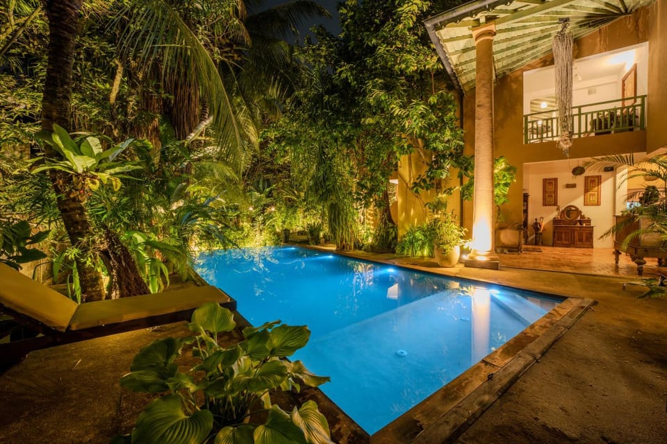 Night, Garden, Swimming pool