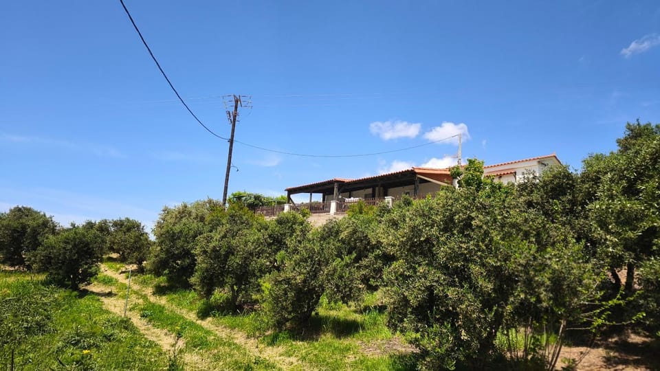 Property building, Natural landscape