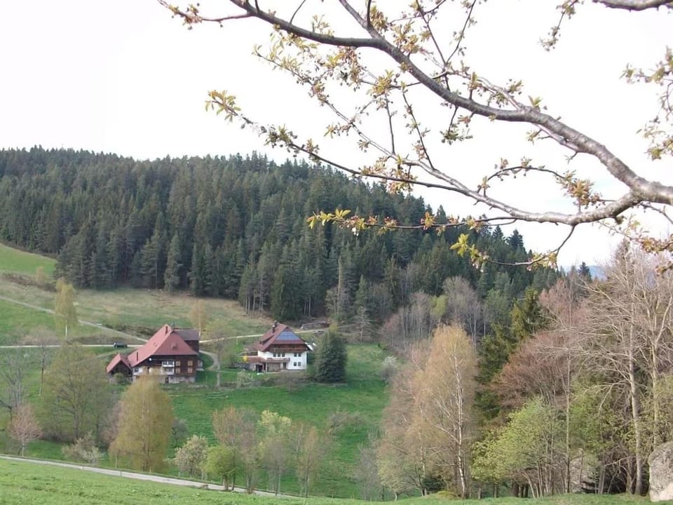 Natural landscape