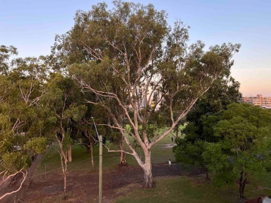 2 Bdr Apartment in Parramatta Covenient Location Apartment in Parramatta