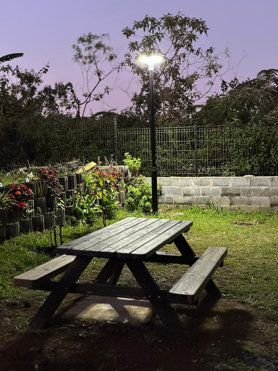 Day, Garden, Garden view