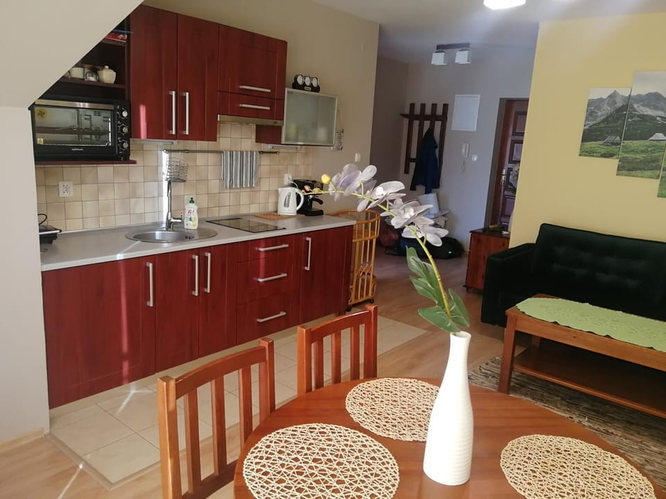 Jędruś Kościelisko Apartment in Lesser Poland Voivodeship