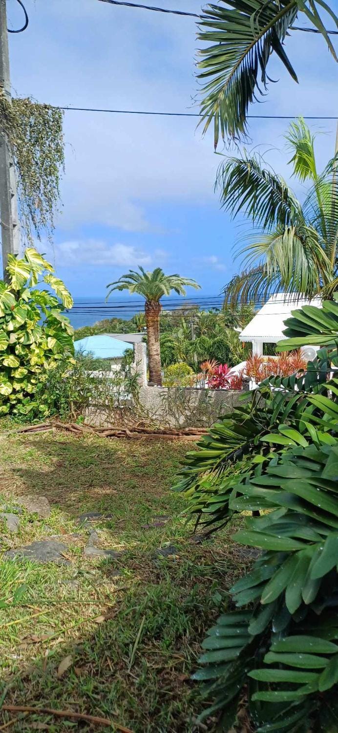 Garden view, Sea view