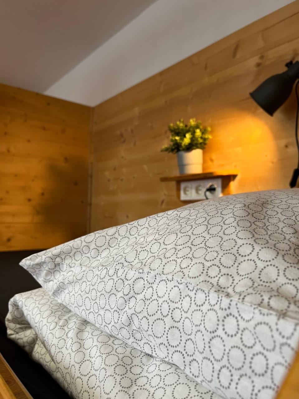 Black Sheep Hostel in Cologne