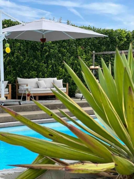 Guest house with private pool & jacuzzi Apartment in North Brabant (province)