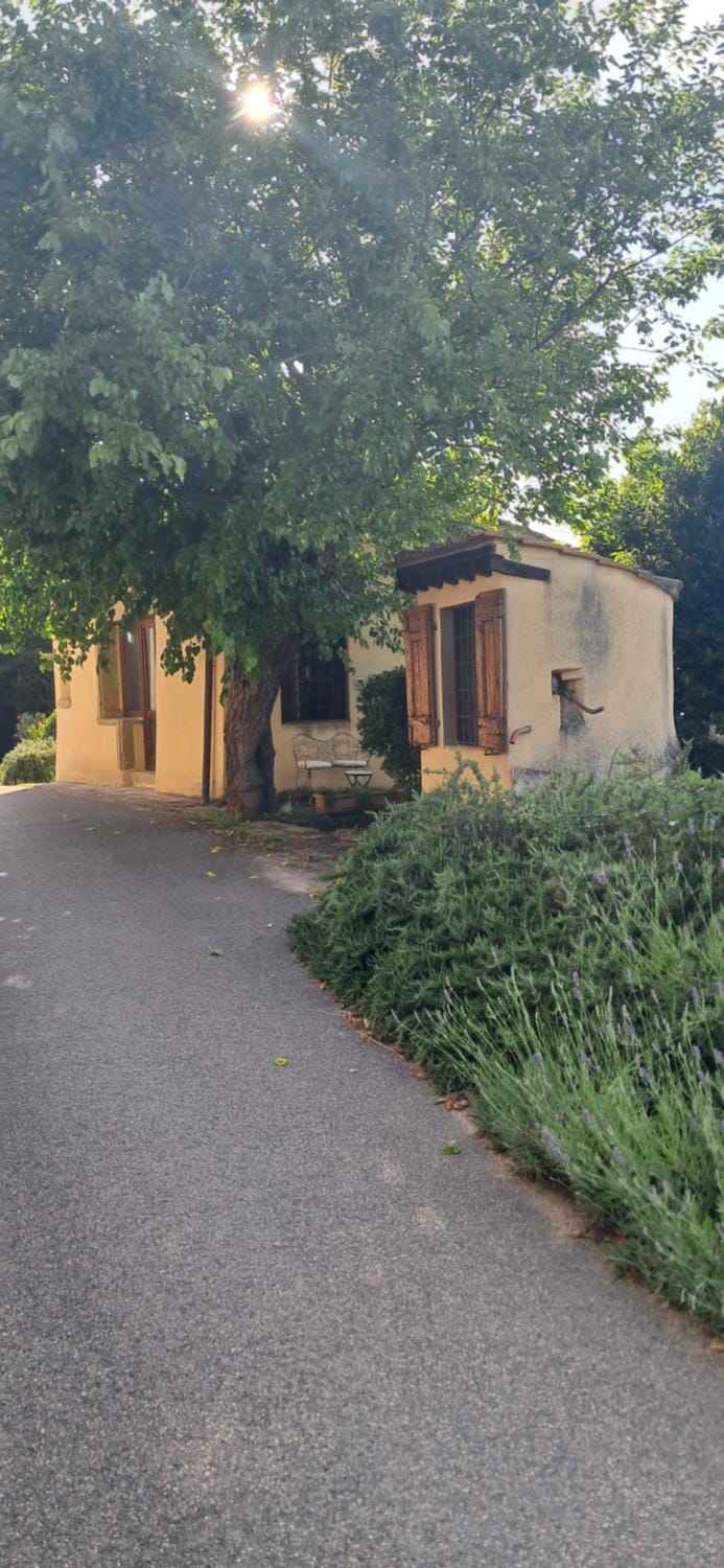 Property building, Street view