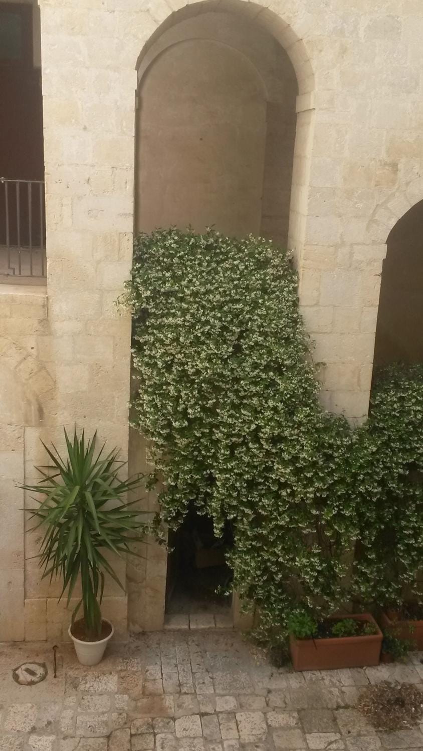 Palazzo Moccia Bed and Breakfast in Apulia