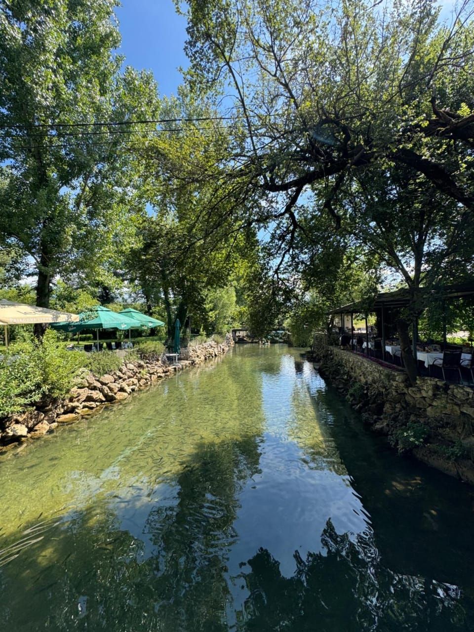 Natural landscape, River view