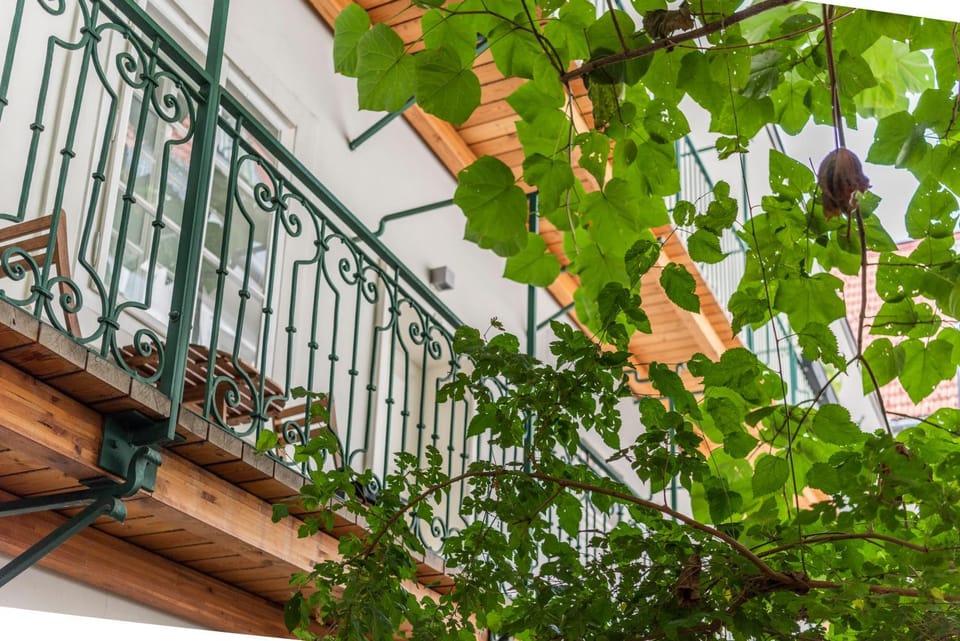 Patio, Facade/entrance