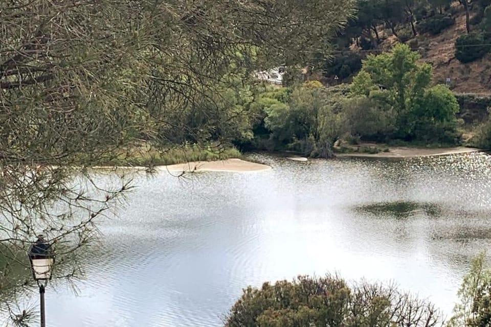 Lake view