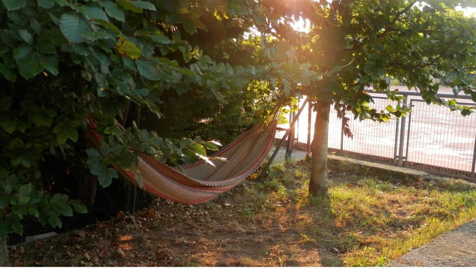 Off site, Garden, Autumn, Sunset