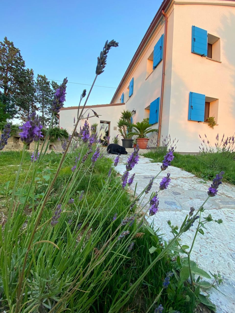 Property building, Spring, Day, Garden, Garden view