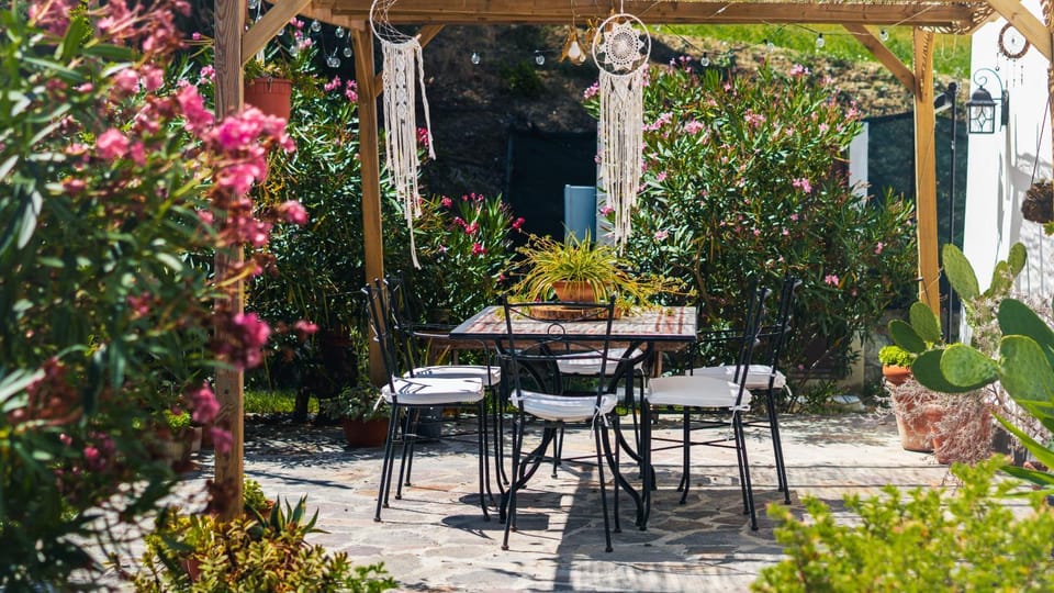 Property building, Patio, Spring, Day, Summer, Garden, Garden view