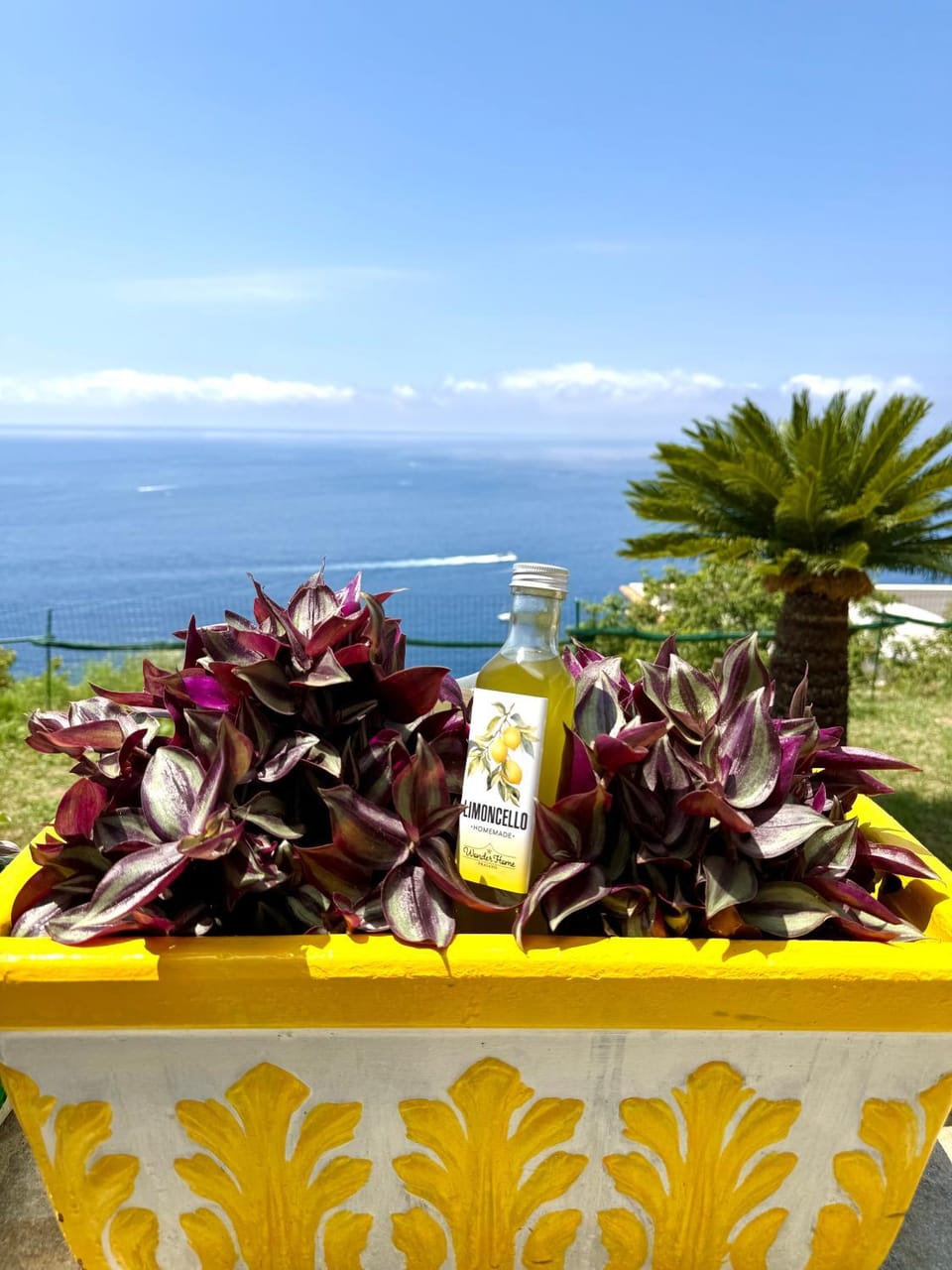Natural landscape, Garden, Sea view, Alcoholic drinks