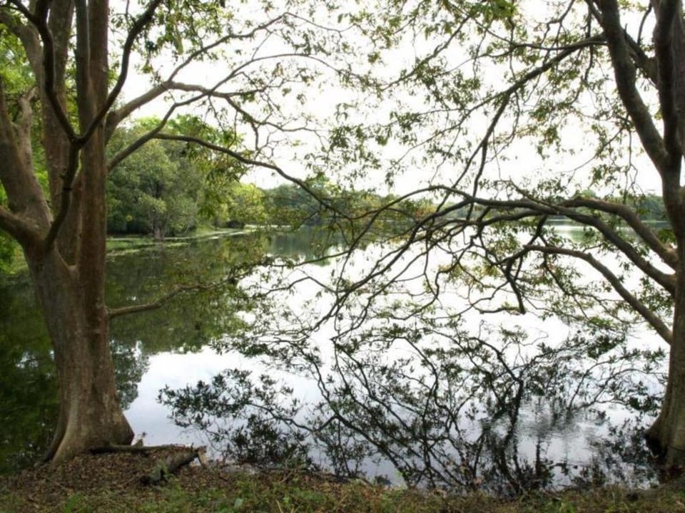 Explorer by Eco Team - Dambana Luxury tent in Uva Province, Sri Lanka