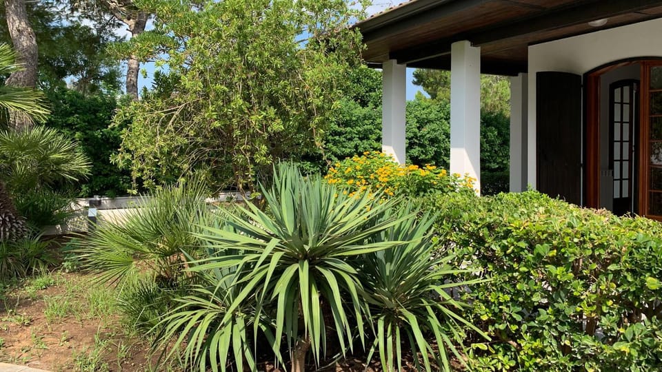 Natural landscape, Garden, Garden view