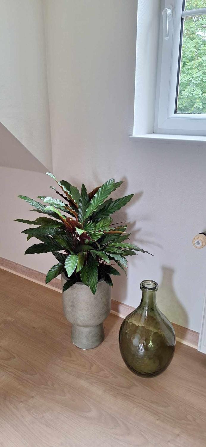 Groennebaek Bed and Breakfast Bed and Breakfast in Region of Southern Denmark