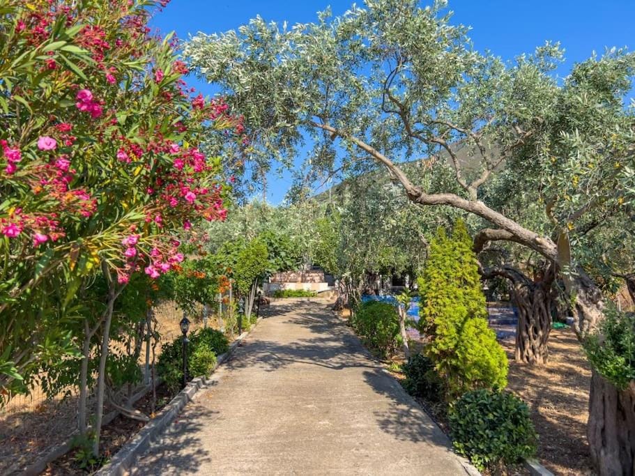 Budget 30-meter-from-beach house Ilios Beach House Apartment in Thasos