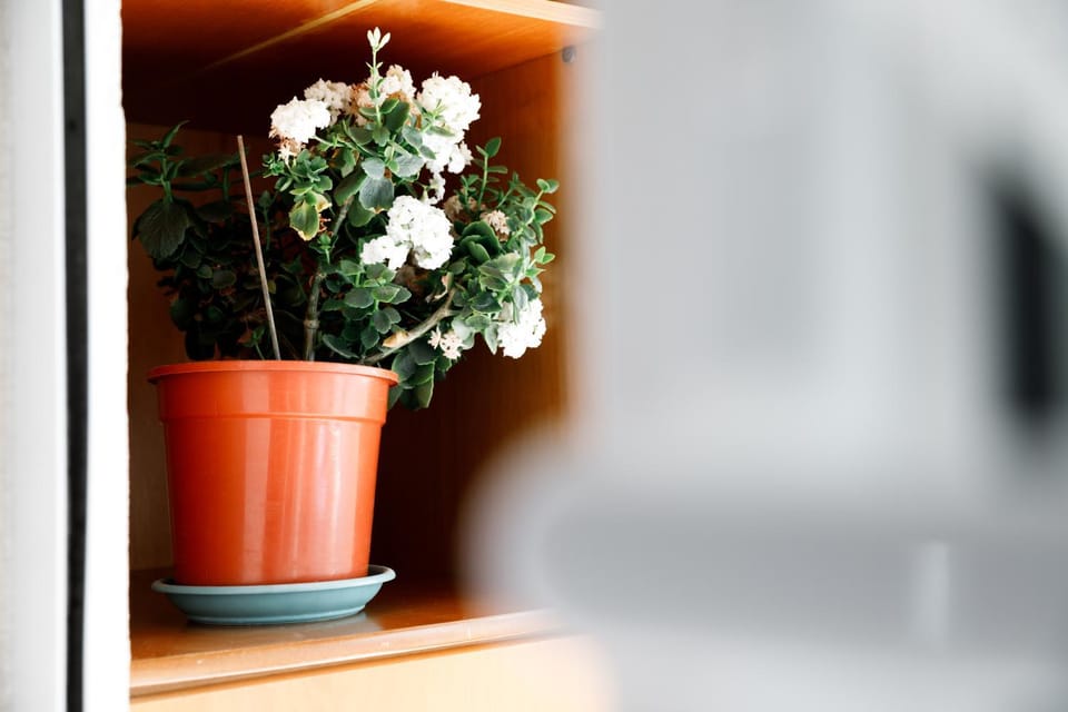 Decorative detail