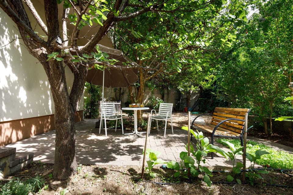Patio, Day, Garden, Garden view