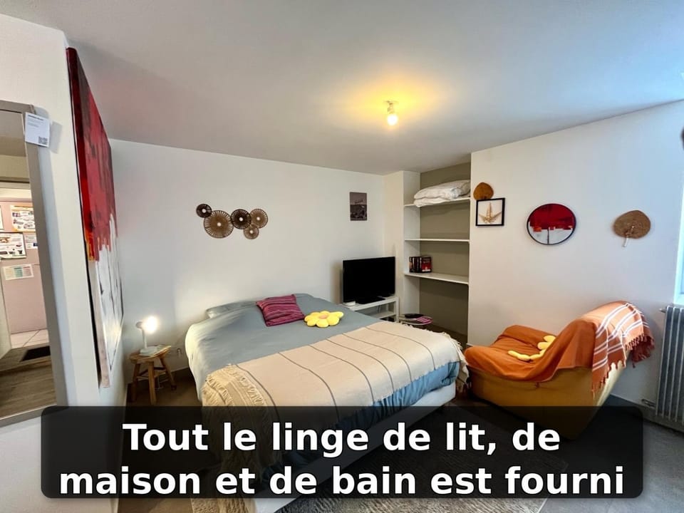 Le ptit chez soi by LPNL Studio confort RDC, Lit Queen, Arrivée autonome Apartment in Auvergne-Rhône-Alpes