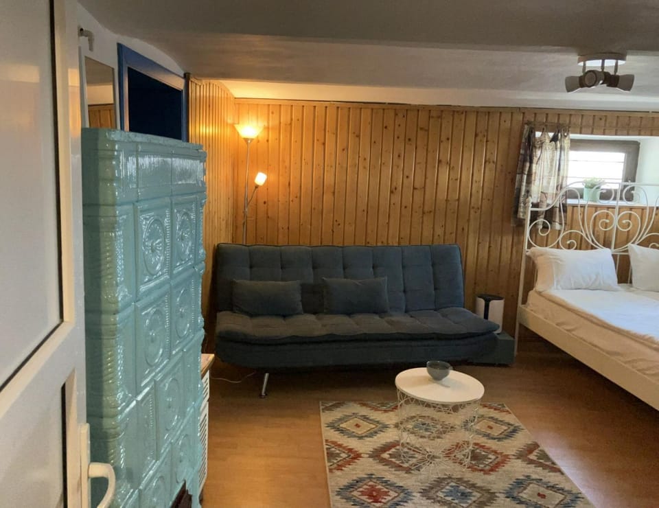 Hilltop Retro Home Apartment in Sibiu
