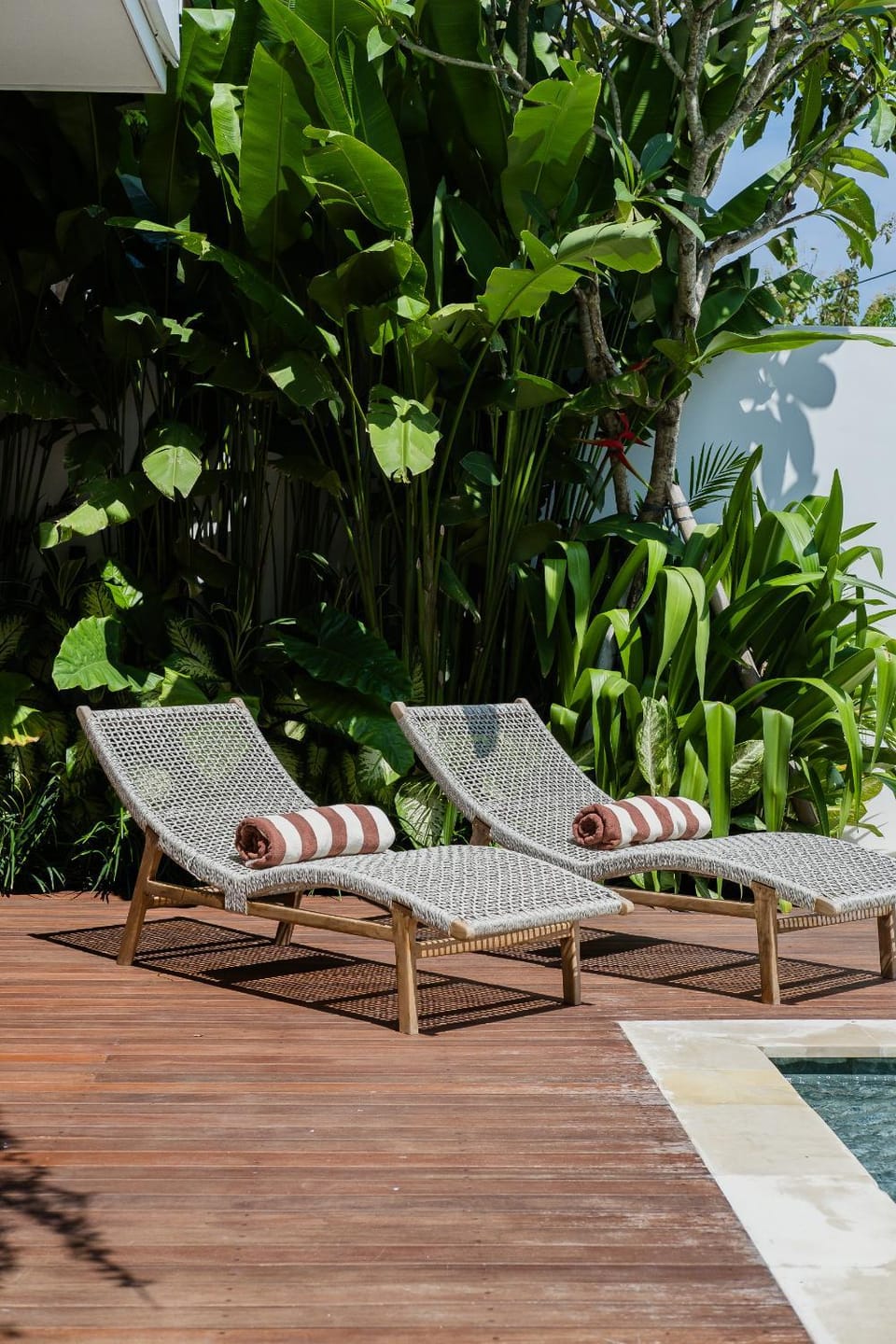 Garden, Swimming pool, sunbed