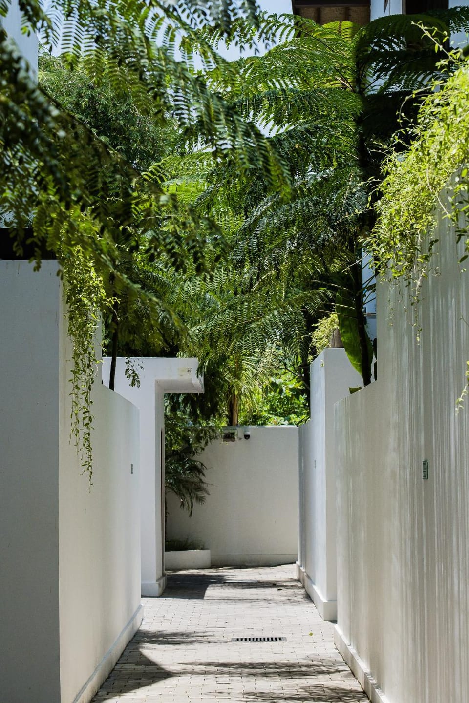 Garden view
