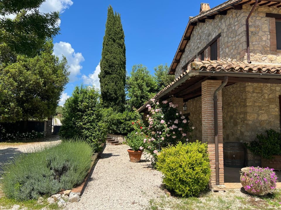 Property building, Spring, Day, Garden, Garden view