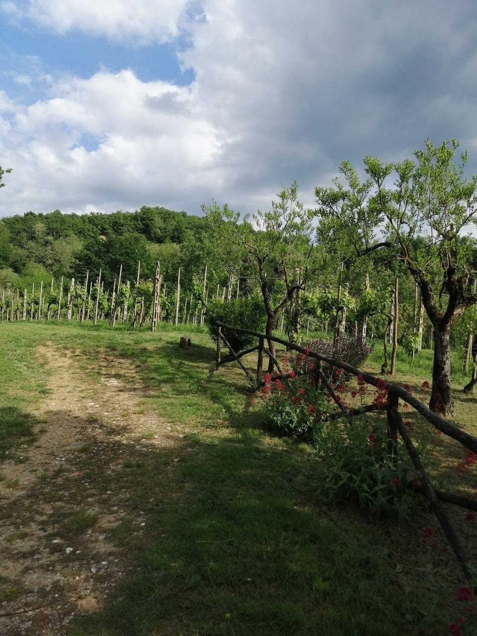 Natural landscape