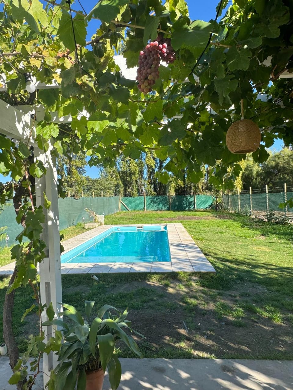 Garden, Garden view, Swimming pool