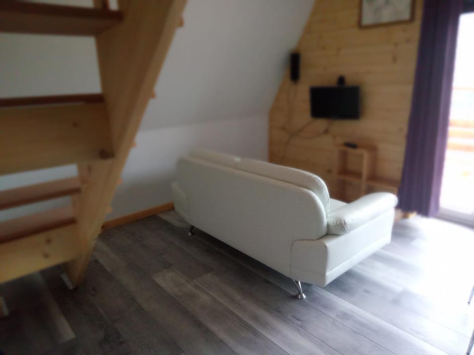 Narcisse Chalet in Vosges