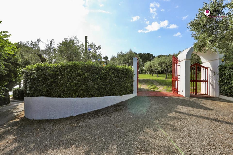Property building, Natural landscape, Garden view