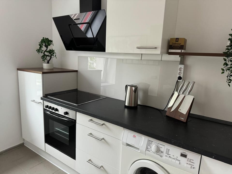 Kitchen or kitchenette, oven, stove, washing machine
