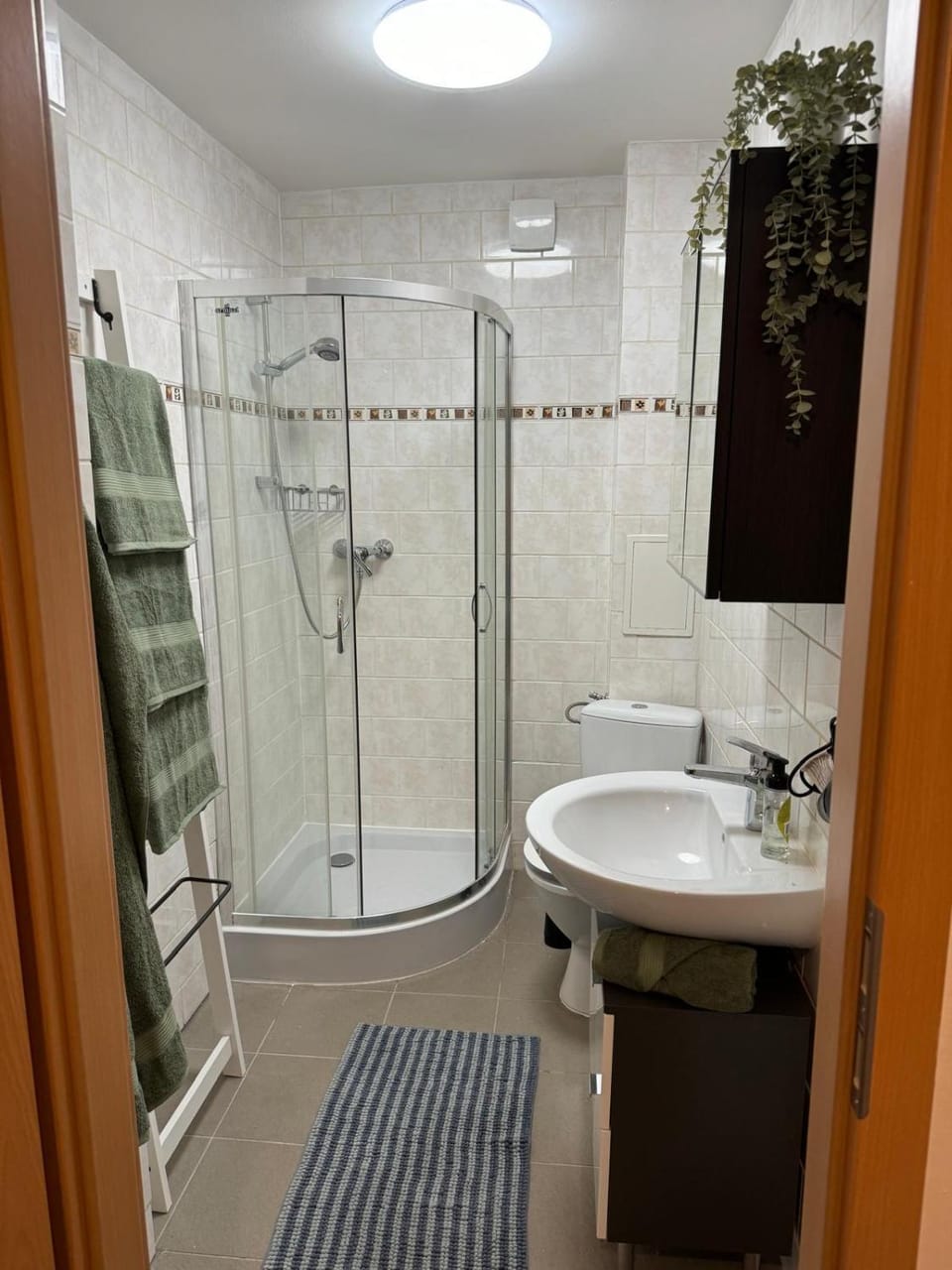 Shower, Bathroom, towels
