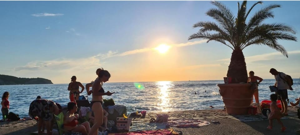 Natural landscape, Beach, Sunset