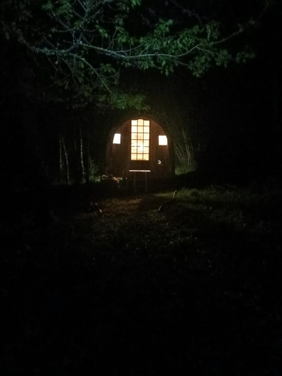 Night, Garden
