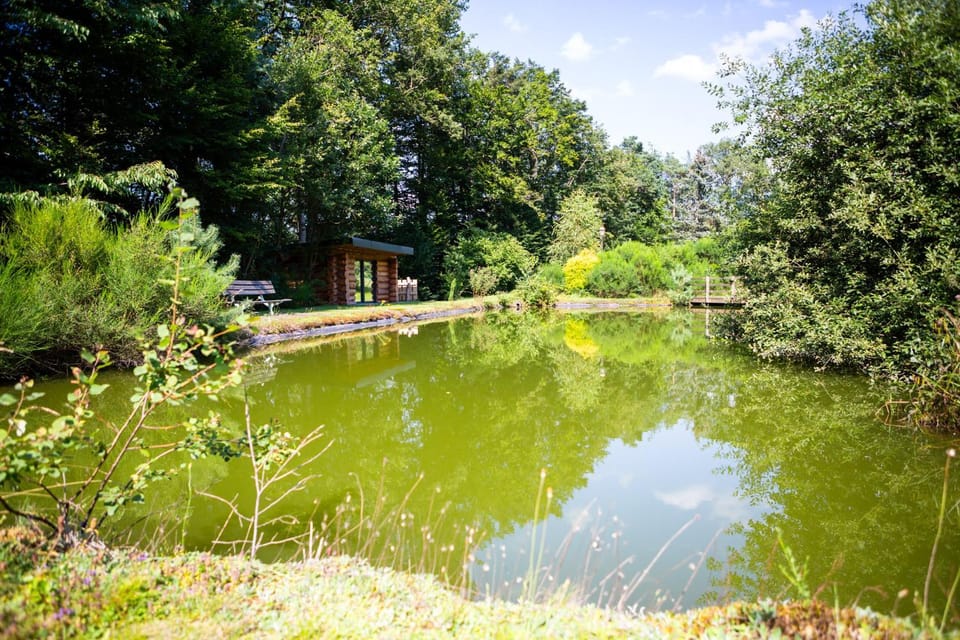 Lake view