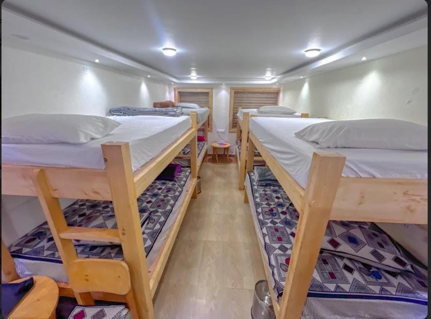Bed, Photo of the whole room, bunk bed