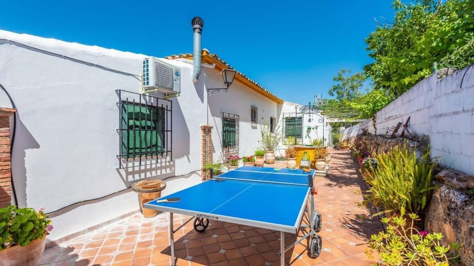 Spring, Off site, Winter, Summer, Table tennis, Autumn