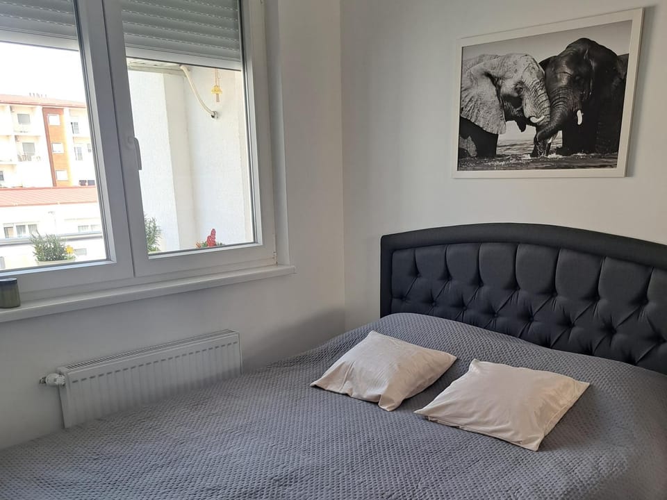 Elephant Apartments Apartment in Serbia