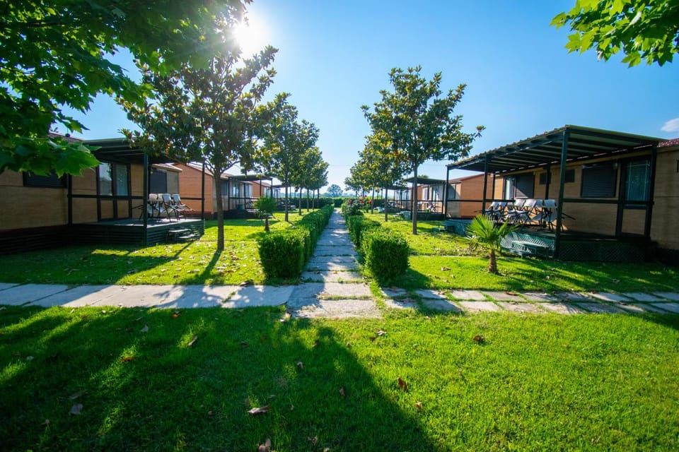 Property building, Garden, Garden view