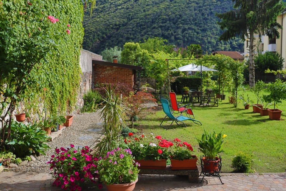 Property building, Day, Natural landscape, Garden, Garden view, Mountain view, sunbed