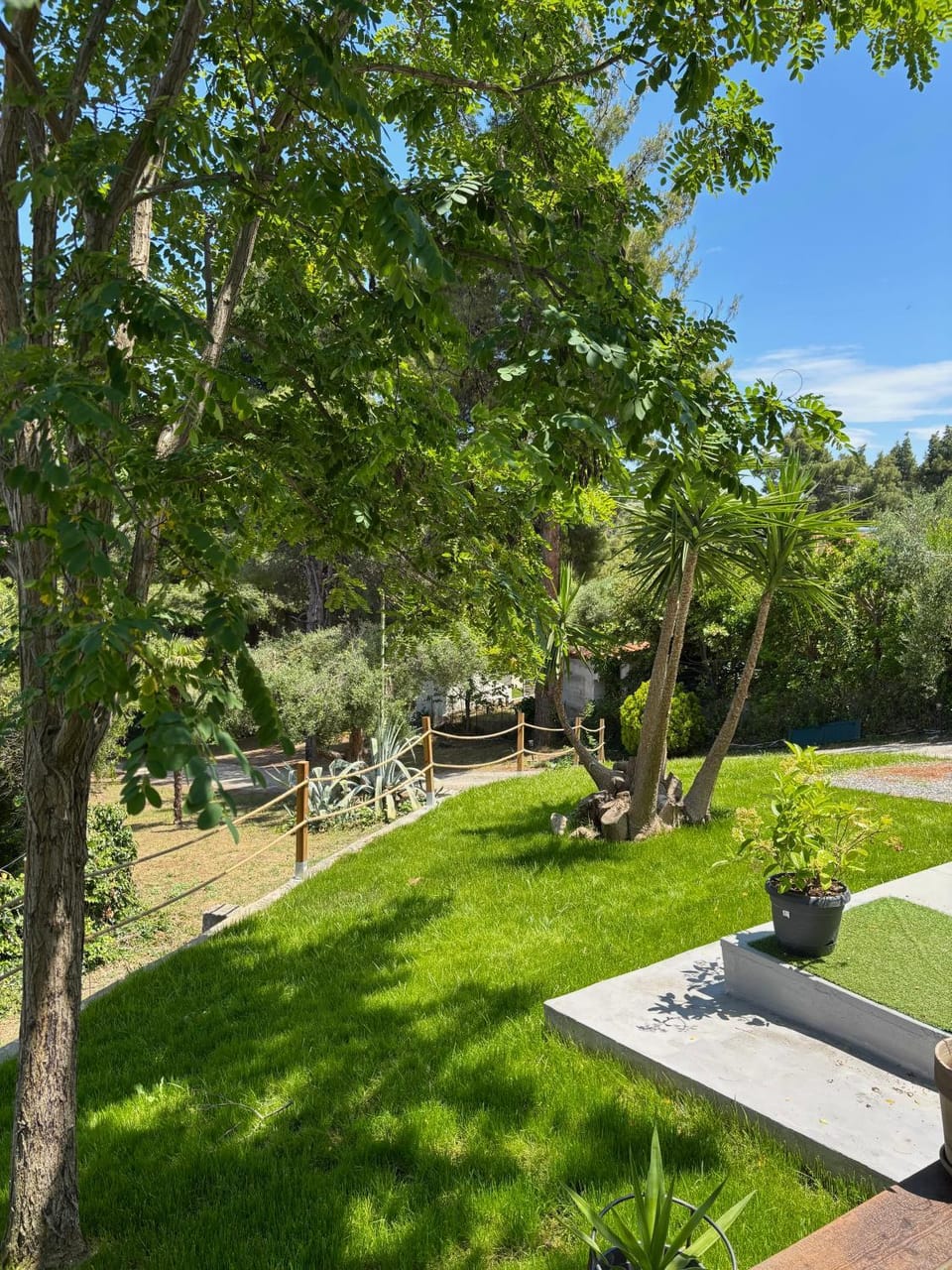 Property building, Garden, Garden, Garden view, Garden view