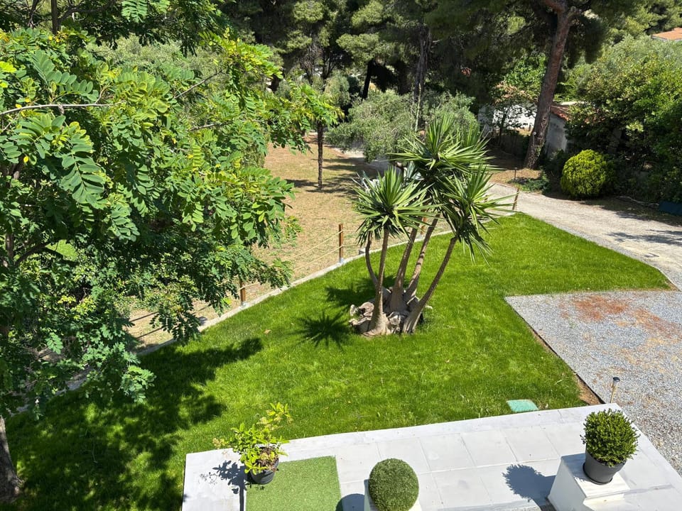 Property building, Garden, Garden, Garden view, Garden view