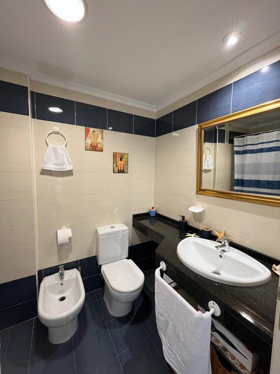 Bathroom, Bath, bidet, hair dryier, towels, towels