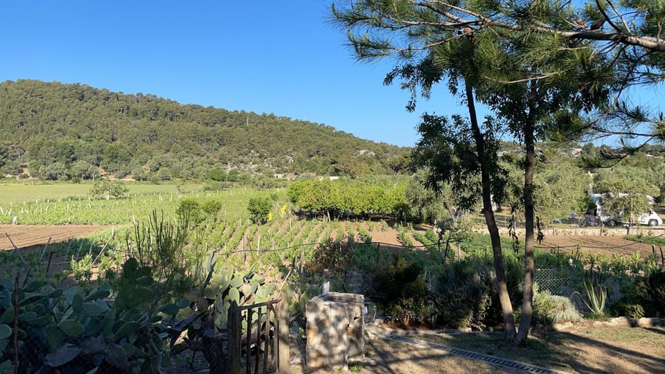 Camping Village San Michele Campground/ 
RV Resort in Province of Foggia