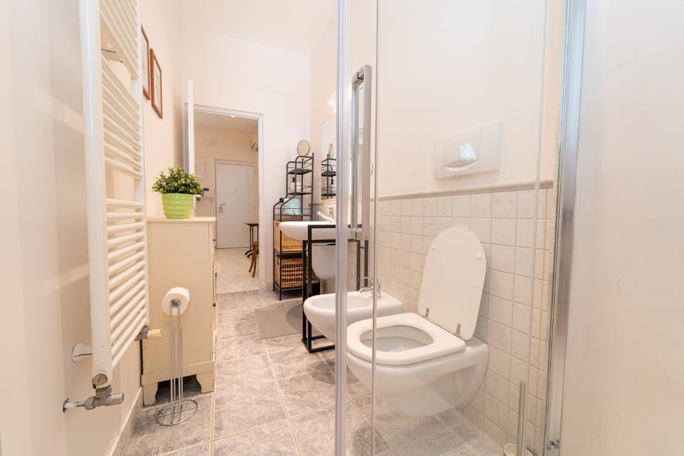 Shower, Toilet, Bathroom, bidet