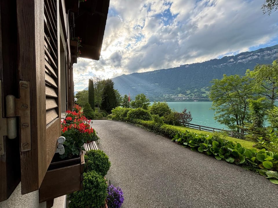 Lake view