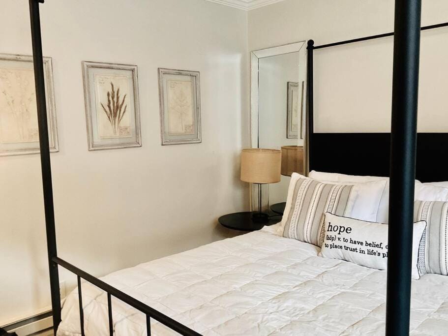 Beautiful Modern In-town Studio with Kitchenette Apartment in Telluride